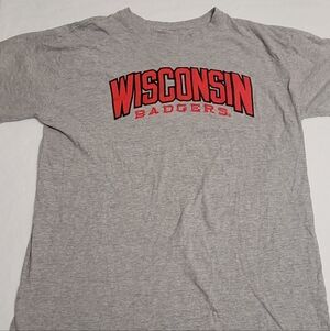 Knights Apparel Wisconsin Badgers Embroidered T-shirt Gray Mens Large Collegiate